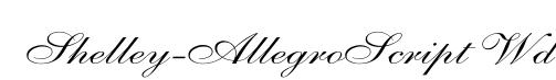 Shelley-AllegroScript Wd