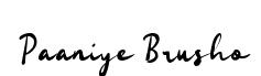 Paaniye Brusho font preview