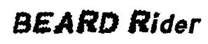 BEARD Rider Italic preview