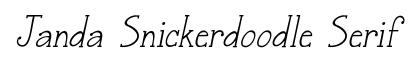 Janda Snickerdoodle Serif Jandasnickerdoodleserifitalic preview