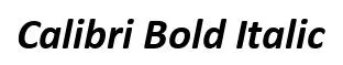 Calibri Bold Italic