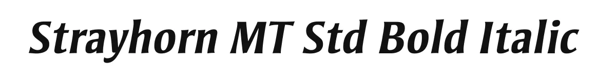 Strayhorn MT Std Bold Italic original font preview