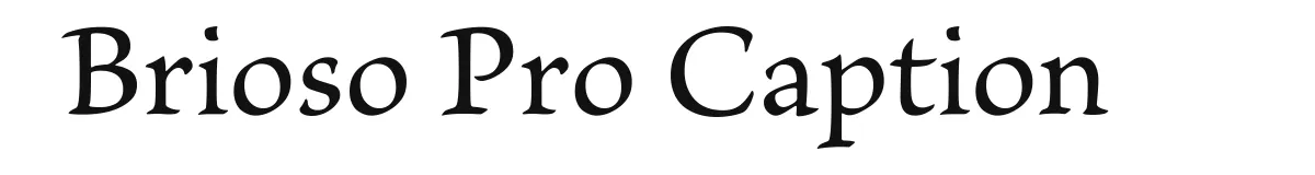 Brioso Pro Caption original font preview