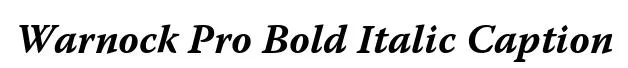 Warnock Pro Bold Italic Caption