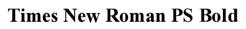 Times New Roman PS Bold