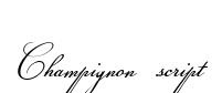 Champignon script