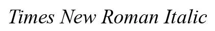 Times New Roman Italic