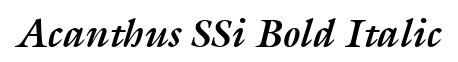 Acanthus SSi Bold Italic