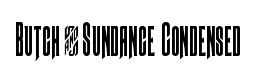 Butch & Sundance Condensed