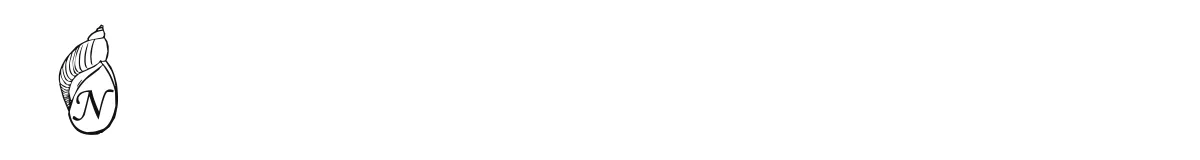 New original font preview