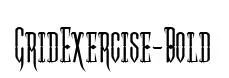 GridExercise-Bold