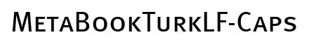 MetaBookTurkLF-Caps