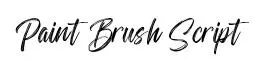 Paint Brush Script