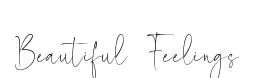 Beautiful Feelings