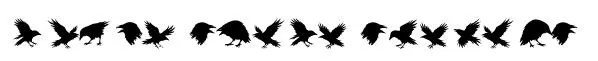 Raven Storm Symbols