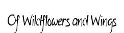 Of Wildflowers and Wings original font preview