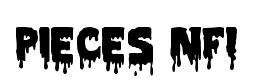 Pieces NFI