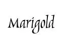 Marigold