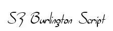 SF Burlington Script