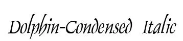 Dolphin-Condensed Italic