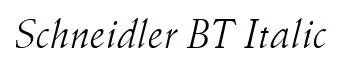 Schneidler BT Italic