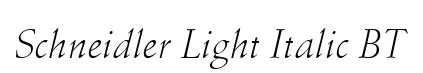 Schneidler Light Italic BT