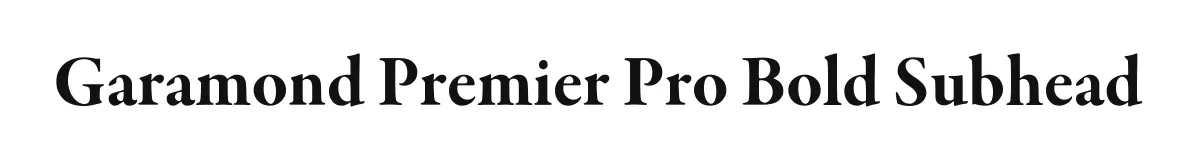 Garamond Premier Pro Bold Subhead original font preview