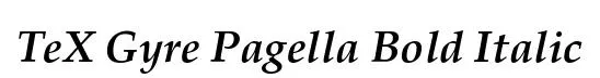 TeX Gyre Pagella Bold Italic