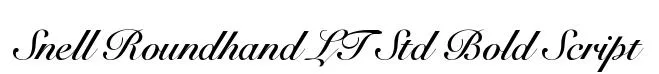 Snell Roundhand LT Std Bold Script