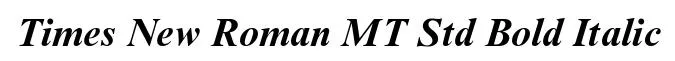 Times New Roman MT Std Bold Italic