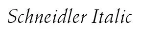 Schneidler Italic