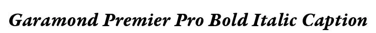 Garamond Premier Pro Bold Italic Caption