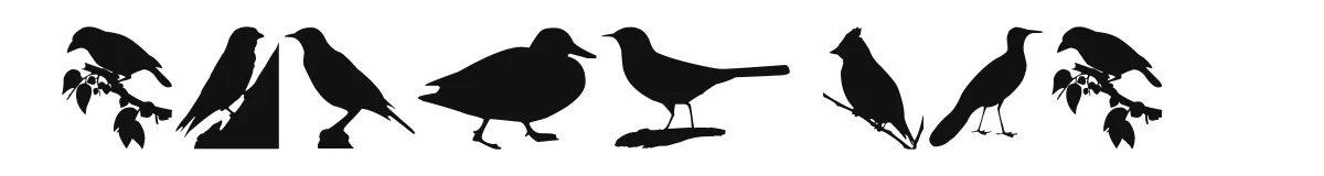 Birds TFB font preview