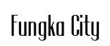 Fungka City