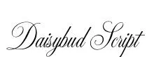 Daisybud Script