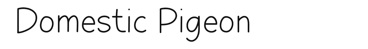 Domestic Pigeon font preview