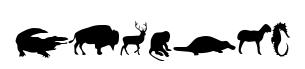 Animals original font preview