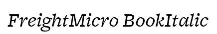 FreightMicro BookItalic