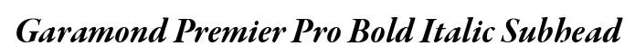 Garamond Premier Pro Bold Italic Subhead