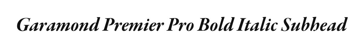 Garamond Premier Pro Bold Italic Subhead original font preview