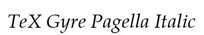 TeX Gyre Pagella Italic