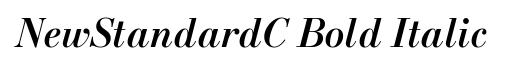 NewStandardC Bold Italic