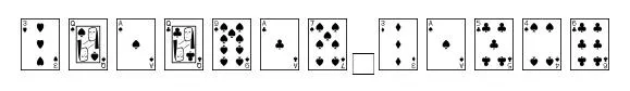 Playing Cards