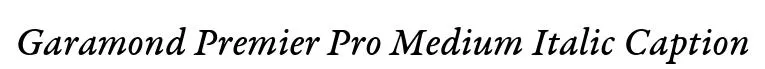 Garamond Premier Pro Medium Italic Caption