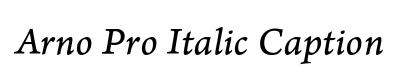 Arno Pro Italic Caption
