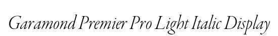 Garamond Premier Pro Light Italic Display