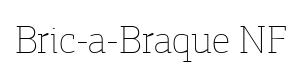 Bric-a-Braque NF