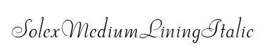 SolexMediumLiningItalic