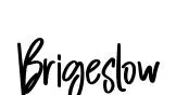 Brigeslow