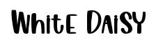 White Daisy